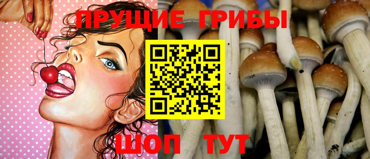 Галлюциногенные грибы мицелий Жигулёвск